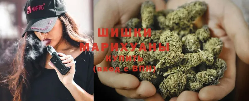 наркошоп  Гаджиево  Марихуана OG Kush 